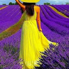 Zaneta Kinderiene Zaneta Kinderiene