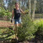 Jurgita Mieliauskaitė