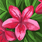 Viktorija Vėliūtė