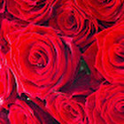 Regina Šinkūnienė