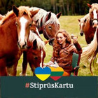 Dovilė Matulevičiūtė