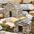 Donata Jokubauskiene