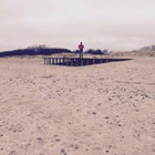 Karolis Dobrovolskis