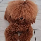 Руслан Ефишов