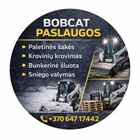 Bobcat