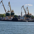 Saulius Petraitis