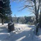 Paslaugų teikėjas