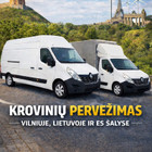 D. Vilučio individuali veikla