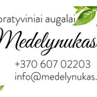 Paslaugų teikėjas