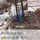 Mindaugas R.