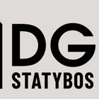 DG Statybos