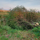 Paslaugų teikėjas