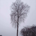 Paslaugų teikėjas