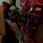 Jūratė Mockevičienė