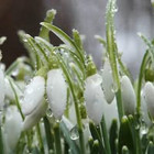 Ingrida Baliūnienė