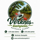 Verknes Kampelis