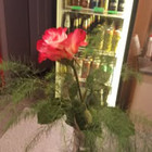 Natalija Rekut