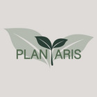 MB Plantaris