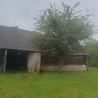 Alvydas