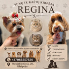 Regina Buciute