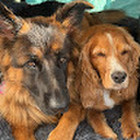 Alastair and Rita
