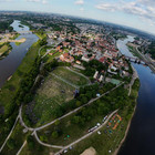 Mindaugas