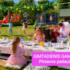 Piniavos padaužos