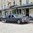 Gintaras M