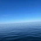 Kristina Jasiuliene