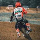 Raulis Nakrušas