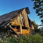 Griovita