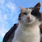 Viktorija