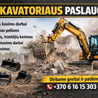 Domantas Jaunius
