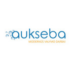 MB Aukseba