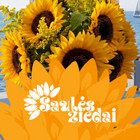 Saulės žiedai