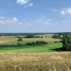 Mindaugas