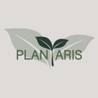 MB Plantaris