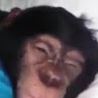 Gytis