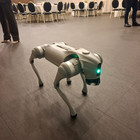 Robo Šuo
