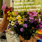 Lilija