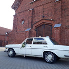 Kastytis Svedas