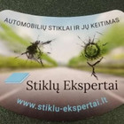 STIKLŲ-EKSPERTAI