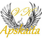 VK apskaita