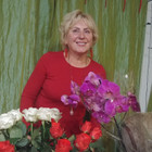 Jolė