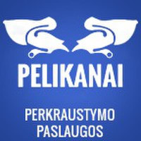 Pelikanai Pelikanai