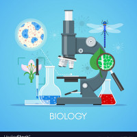 Biologijos korepetitorius Biologijos korepetitorius (mokytojas). Dirbu ir online.