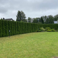 Ignas Kazokas Vaismedžių ir gyvatvorių genėjimas