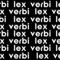 Lex verbi Profesionalūs vertimai, ilgametė patirtis