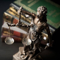 Profesionalios teisinės paslaugos ir patarimai