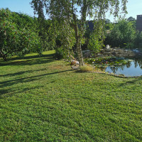 Aleksej Žolės pjovimas, vejos priežiūra, apleistų sklypų tvarkymas.